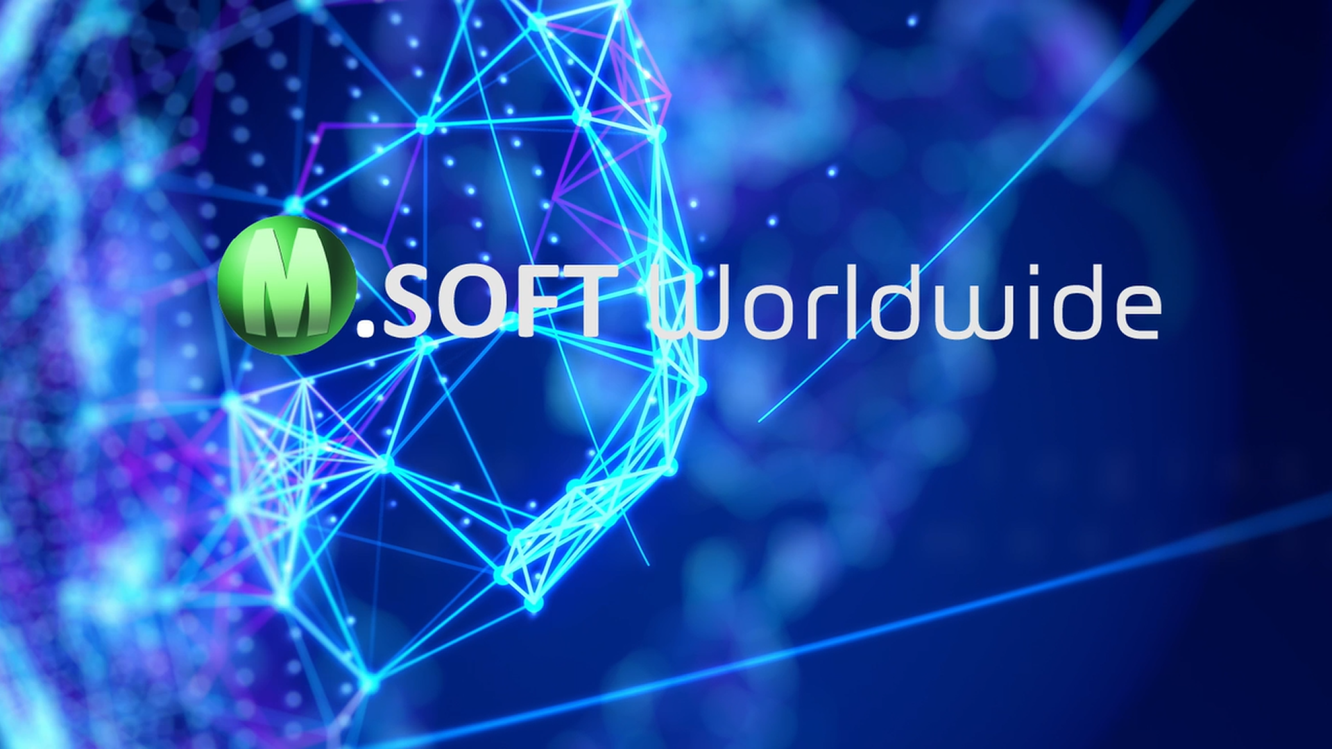 M.SOFT Worldwide | Software de Transporte y Almacenaje